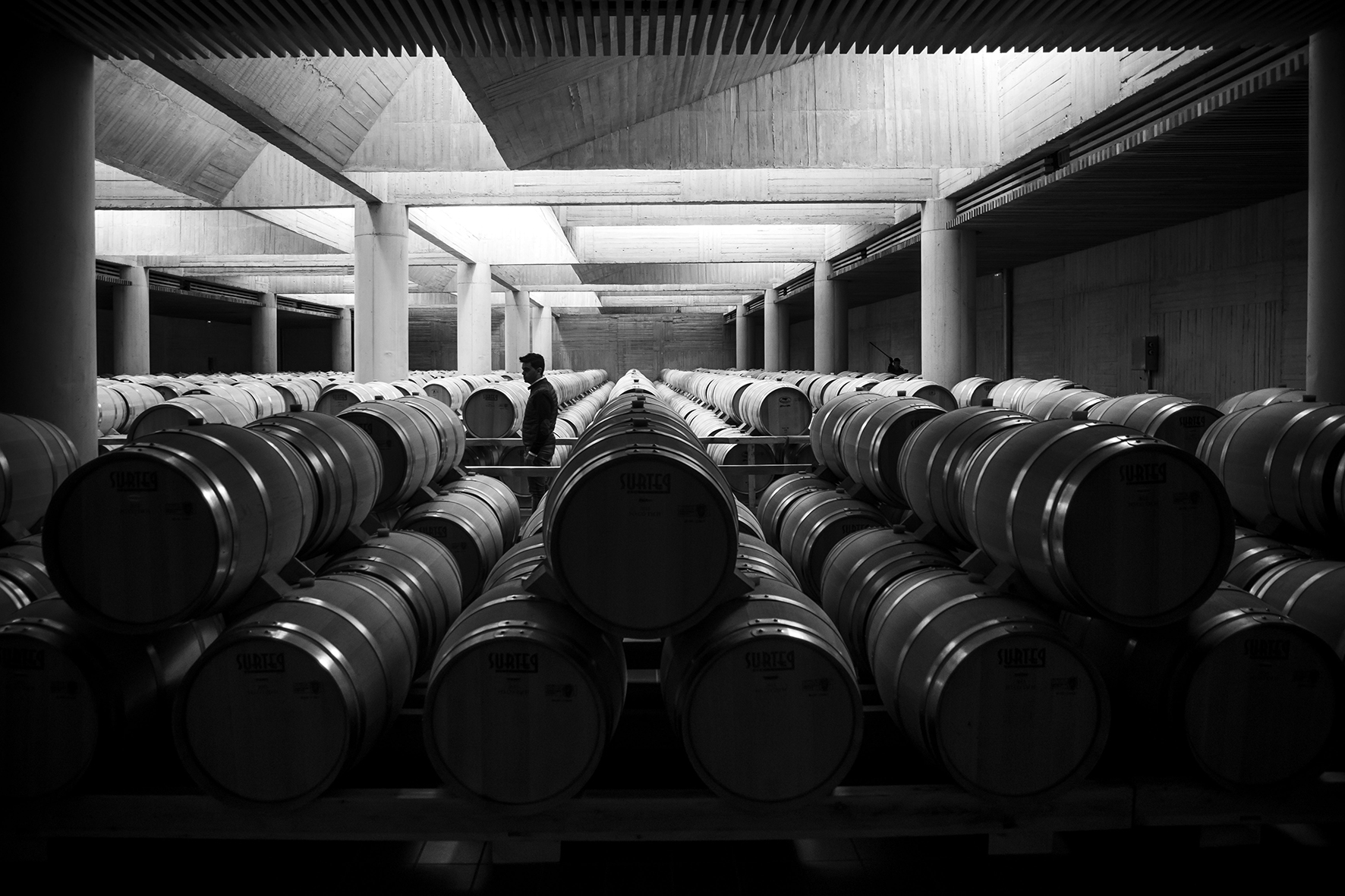 Copia de Pedro13_red