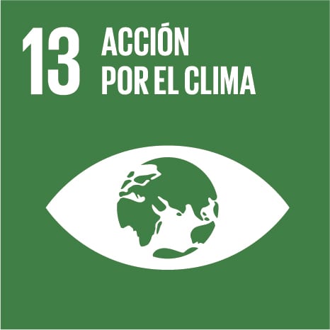 Acción por el clima ODS