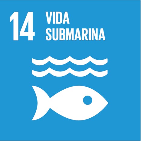 Vida Submarina ODS