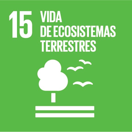Vida de ecosisstemas Terrestres ODS