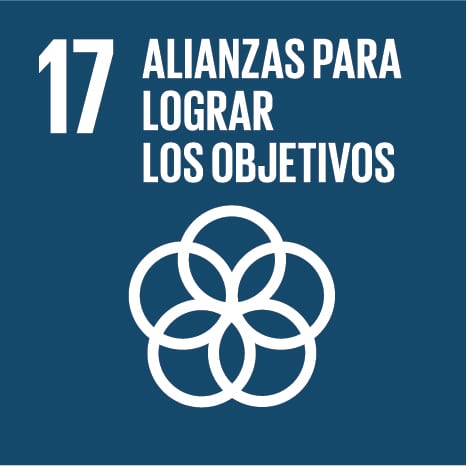 Alianzas para lograr los objetivos ODS