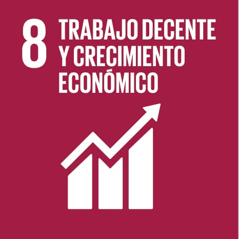 Trabajo Decente y Crecimiento económico ODS 2020
