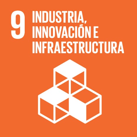 Industria Innovación e Infraestructura 2020